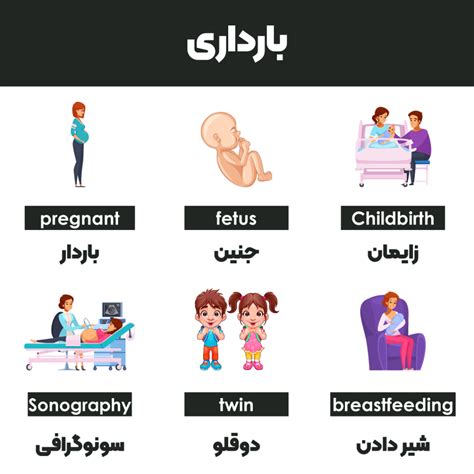 پستان به انگلیسی